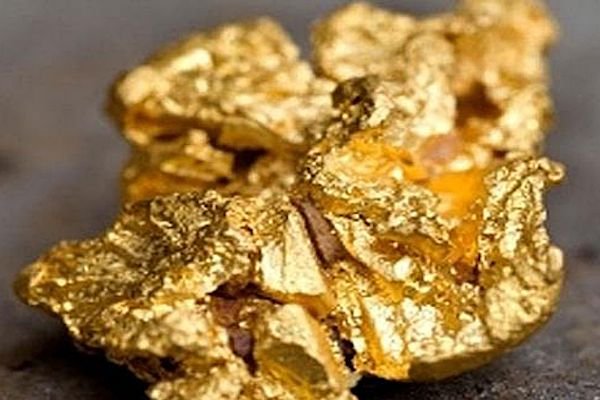 Compra UNICA Seguridad Patrimonial ORG